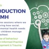 Introduction to SEMH