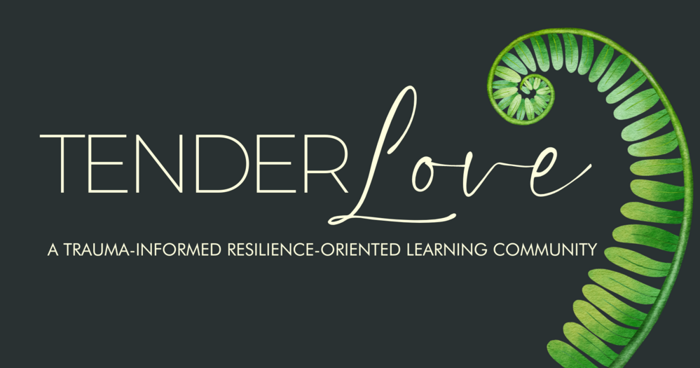 FREE Info Session for Tender Love: A trauma-informed, resilience-oriented learning community for doulas, childbirth and lactation educators, &amp; newborn care specialists.