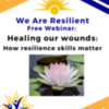 Healing Our Wounds: How Resilience Skills Matter