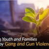 Do You See Me? How Systems of Care Can Wrap Around Youth and Families Impacted by Gang and Gun Violence (NTTAC)