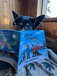 Angie reading Howling with Huskies