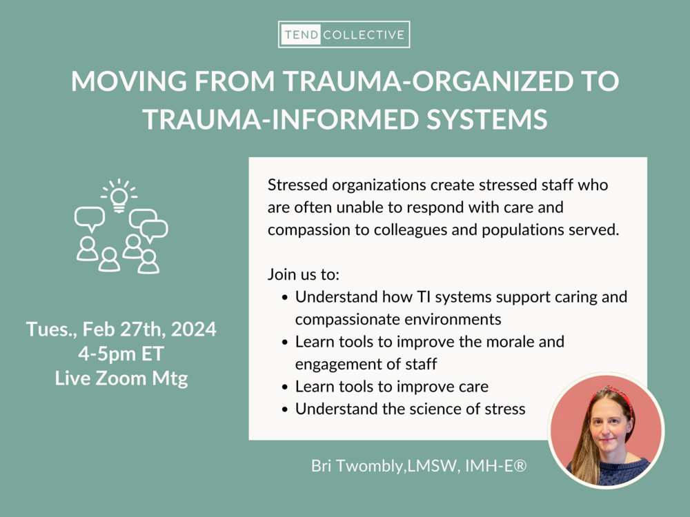 Free Event: Moving From Trauma-Organized to Trauma-Informed Systems