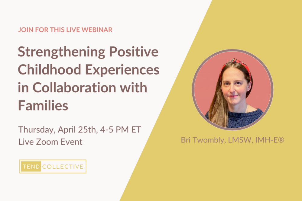 [webinar] Strengthening Positive Childhood Experiences in Collaboration with Families