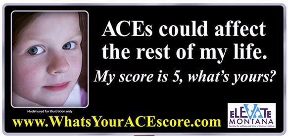 What's Your ACE Score?