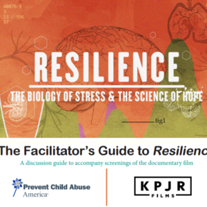 Facilitators-Guide to Resilience (22 pages)