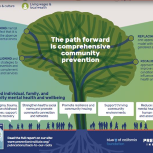 Back to Our Roots-Catalyzing Community Action for Mental Health and Wellbeing_Prevention Institute_69 pages.pdf