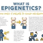 Epigenetics Infographic_FINAL Harvard 2019.pdf
