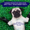 Summer Scholarship Promotion Ends Soon
