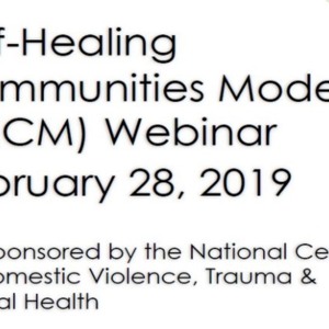 Self-Healing Communities Model (SHCM) Webinar slides.pdf