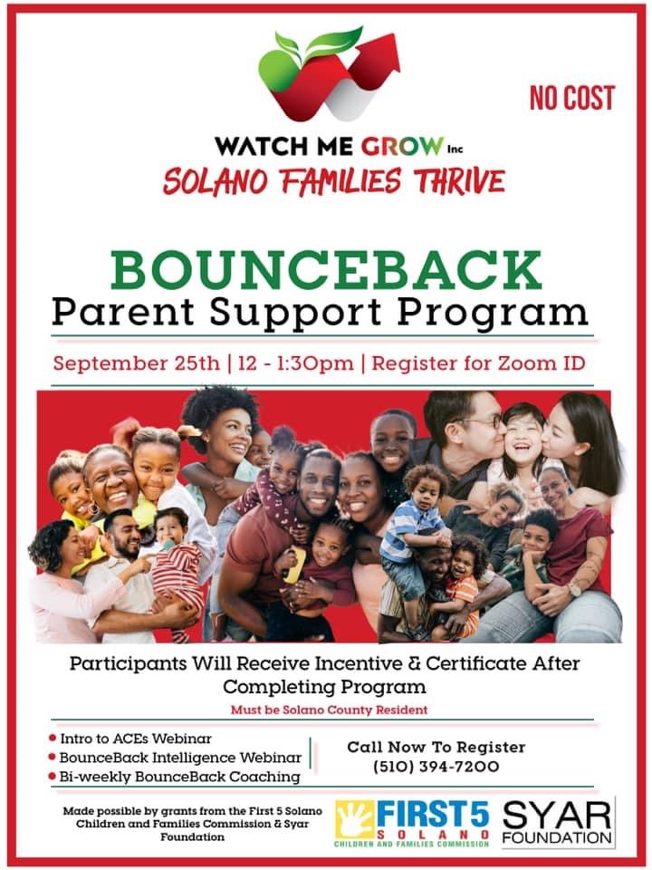 BounceBack Parent Support Program