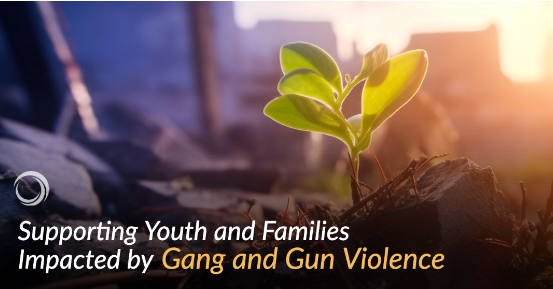 Heart Work Series: Do You See Me? How Systems of Care Can Wrap Around Youth and Families Impacted by Gang and Gun Violence (NTTAC)