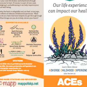 Creating a Connected Community -- public ACEs pamphet (2015, Homer Alaska)