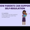 Co-Regulation (Mount Sinai Parenting Center)