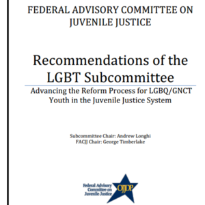 LGBT-Recommendations Subcommittee (11 pages - Federal Advisory Committee on Juvenile Justice)