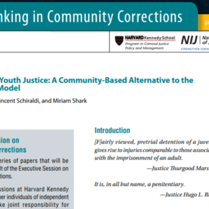 The Future of Youth Justice - A Community Based Alternative to Youth Prisons (36 pages_National Institute of Justice).pdf