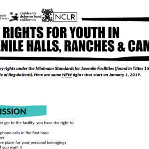 New Rights for Youth: January, 2019 (6 pages)