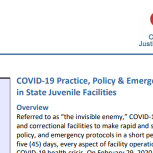 COVID-19 Issue Brief: Practice, Policy &amp; Emergency Protocols in Juvenile Facilities (8 pages)