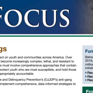Youth Gangs In Focus OJJDP (one-pager).pdf