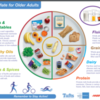 MyPlate for Older Adults