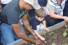 How to Make the Benefits of a School Garden Meaningful in a Child's Life (kqed.org)
