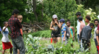 10 Stories of Transition in the US: Transition Milwaukee and the Victory Garden Initiative (transistionus.org)