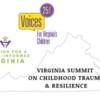 Voices for Virginia's Children