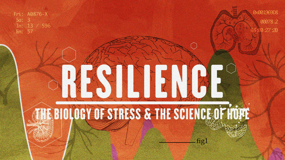 Screening of Resilience: The Biology of Stress and the Science of Hope