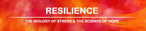 Resilience Screening and Discussion