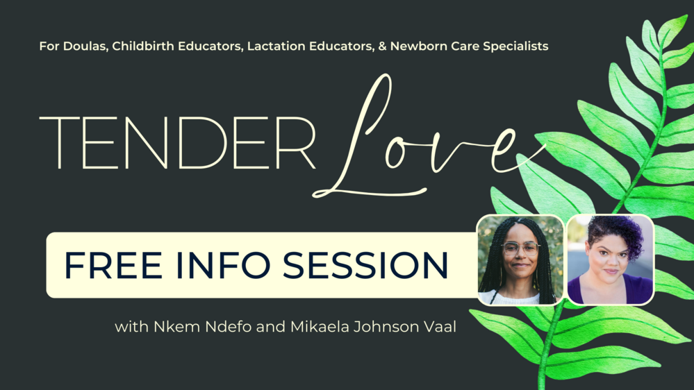 Become a Trauma-Informed Birthworker - Free Info Session