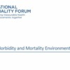 MMM Environmental Scan Report 2020