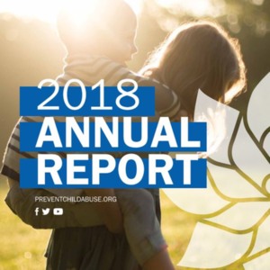 2018_PCA_America_Annual_Report_FINAL.pdf