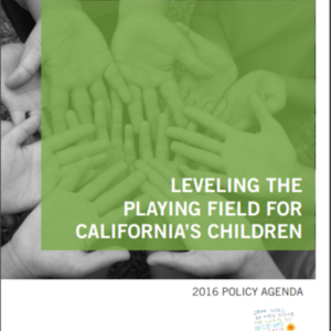 Childrens Defense Fund - leveling-the-playing-field Policy Agenda 2016.pdf