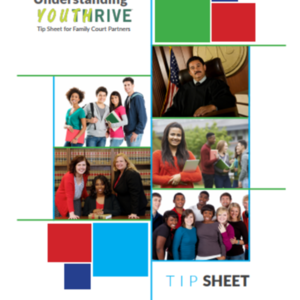 Tip-Sheets-Family-Courts_Center for Social Study of Policy (37 pages)