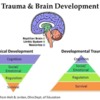 trauma brain 111