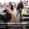 Self-Regulation Tools for Special Ed Students