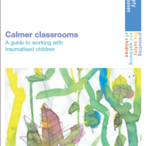 Calmer Classrooms - A guide to working with traumatised children.pdf