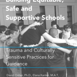 Building Equitable Safe and Supportive Schools: Trauma-Informed and Culturally Sensitive Practices for Guidance (25 pages) Move This World
