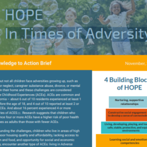 HOPE in Times of Adversity _ Knowledge to Action Brief (2-pages).pdf