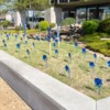 Child Abuse Prevention Rally: The Arkansas Foundation for Medical Care, backbone organization for the Arkansas ACEs/Resilience Workgroup, planted a pinwheel garden in observance of Child Abuse Prevention Month.