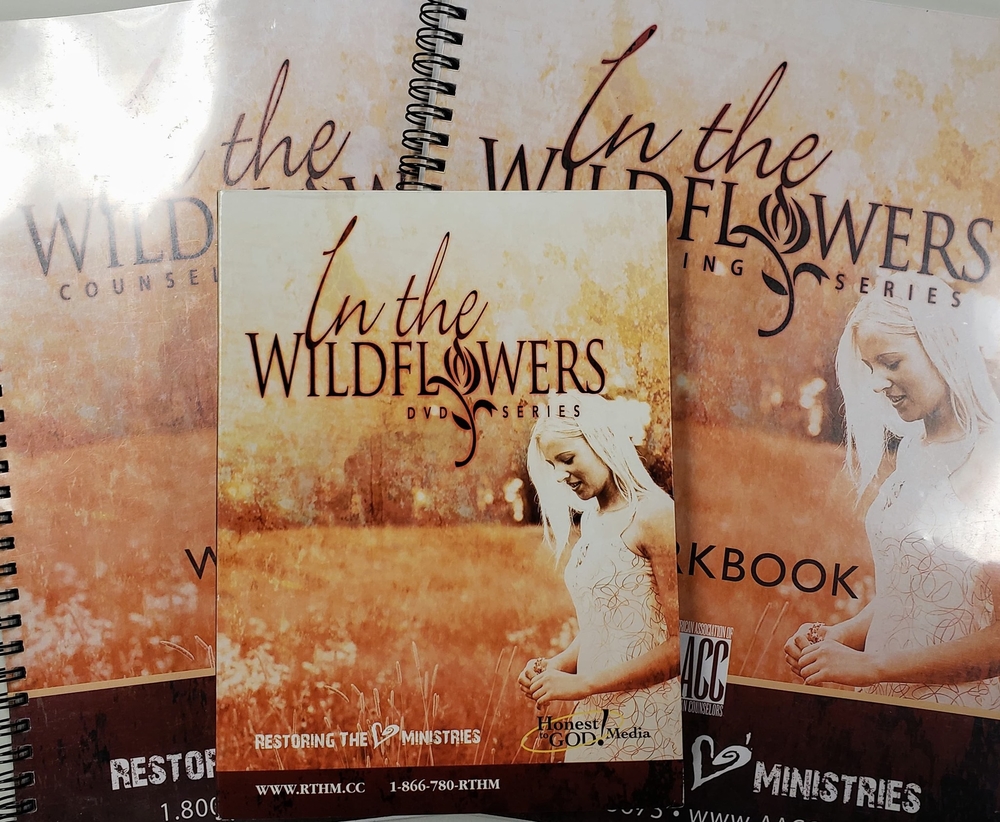 In The Wildflowers 12 Week Video/Workbook Series Women's Group- Saturdays