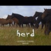 Liz Mitten Ryan: One With The Herd (10-minutes Herd Film Preview )