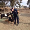 Forgetmenot farms fireman w goat