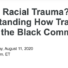 What Is Racial Trauma? Understanding How Trauma Affects the Black Community [Relias.com]