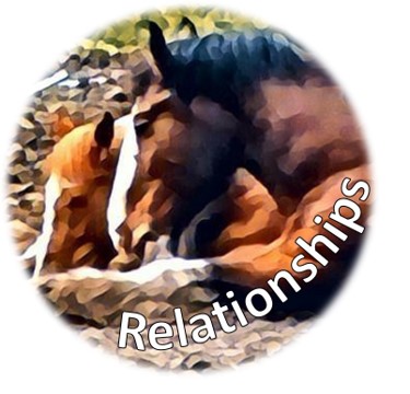FREE Virtual Learning: Building COVID Relationships in the (Virtual) Classroom