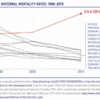 WIC Maternal Mortality graph