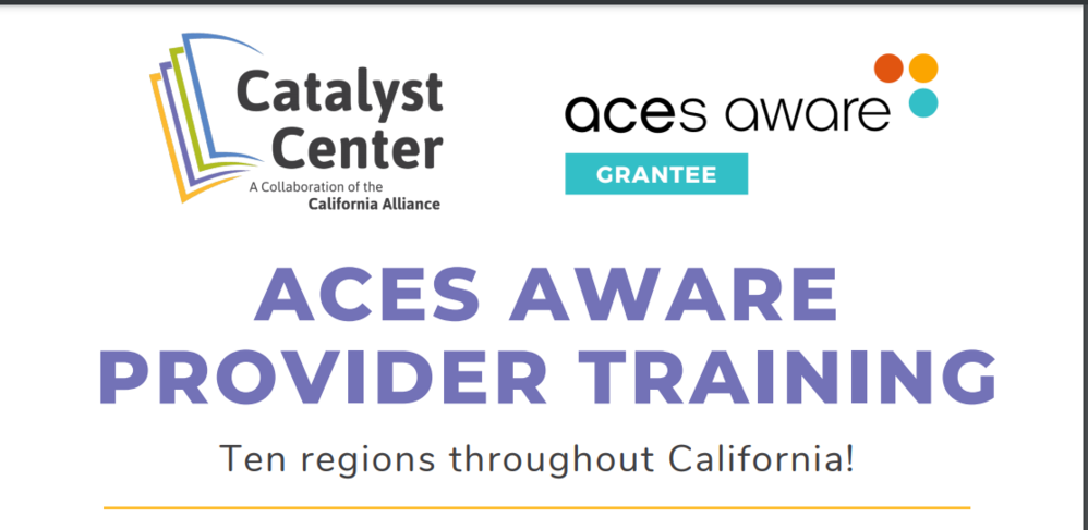 CAPITAL REGION: ACEs Aware Grantee Provider Training: Cross-sector strategies for implementation