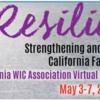 Resilience: Strengthening and Supporting California Families