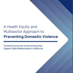 A Health Equity and Multisector Approach to Preventing Domestic Violence (58 pages) Prevention Institute.pdf