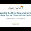Regulating the Stress Response for Kids: Practical Tips for Primary Care Providers