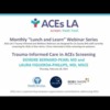 Trauma-Informed Care in ACEs Screening (ACEs LA)